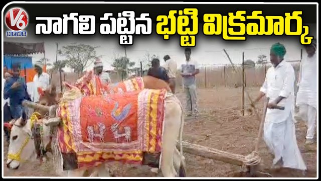 CLP Leader Bhatti Vikramarka Participates In Farming Works Adilabad | V6 News