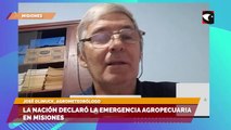La nación declararó emergencia agropecuaria en Misiones
