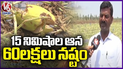 Musk Melon Farmer Ramachandra Reddy About Damaged Crop Due To Heavy Rains Karimnagar | V6 News (1)