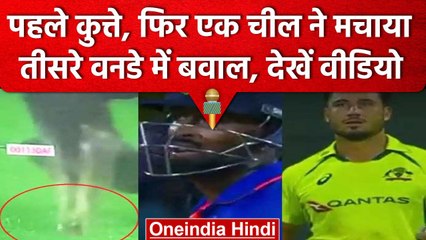 Ind vs Aus: Chennai में खेले गए 3rd ODI में चील की वजह से रुका मैच, देखें वीडियो | वनइंडिया हिंदी
