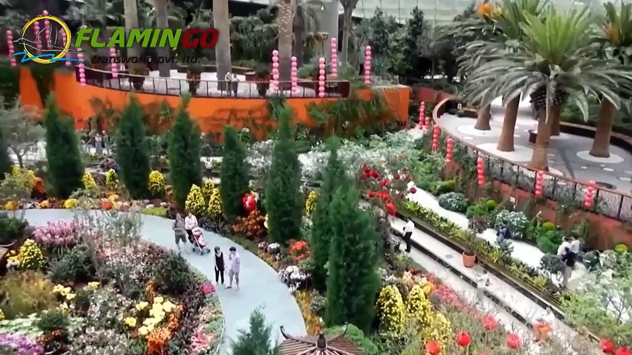 Scenic Singapore Tour Packages with Flamingo Transworld