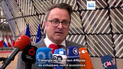 Ucraina, economia e auto a combustione nel Consiglio europeo