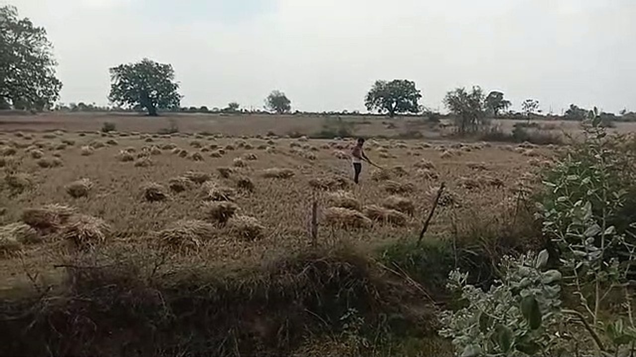 The survey work of loss of crops has started, a...