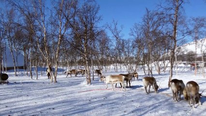 Los Saami ponen la guinda al documental conquense 'El último confín'