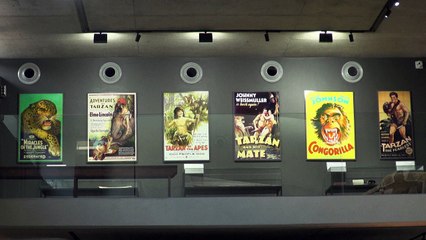 Exposição inquietante retrata o impacto humano na natureza