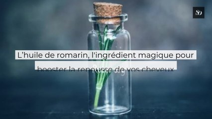 L’huile de romarin, l'ingrédient magique pour booster la repousse de vos cheveux