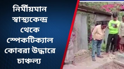 একটি স্পেকটিক্যাল কোবরা উদ্ধার হল