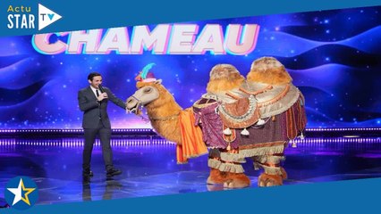 Mask Singer saison 5 : quel est ce costume inédit sous lequel deux célébrités prendront place ?