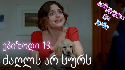 ძაღლი ნაკბენი - ურთიერთობის სტატუსი ჩახლართული ეპიზოდი 13