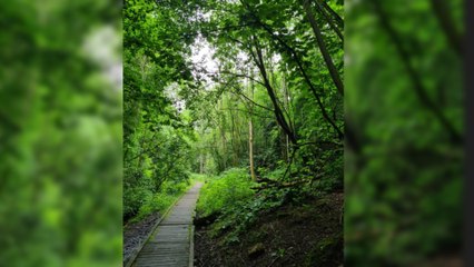 Manchester Headlines 23 March: Part of Manchester park declared city’s newest Nature Reserve
