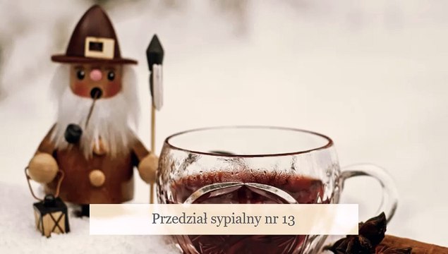Przedział sypialny nr 13 - A. Stępień (1968) - słuchowisko sensacyjne