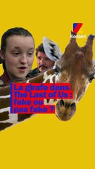 La girafe dans The Last Of Us était FAKE ?