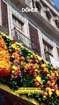 Regresa el Festival de las Flores del Centro Histórico 2023 ¡Flores y muchos colores!