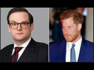 "Il pubblico ha il diritto di sapere": incontra l'avvocato che esamina il visto di Harry per l'uso