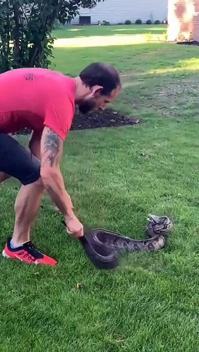 Un homme fait le malin avec un serpent trouvé dans son jardin et se fait mordre