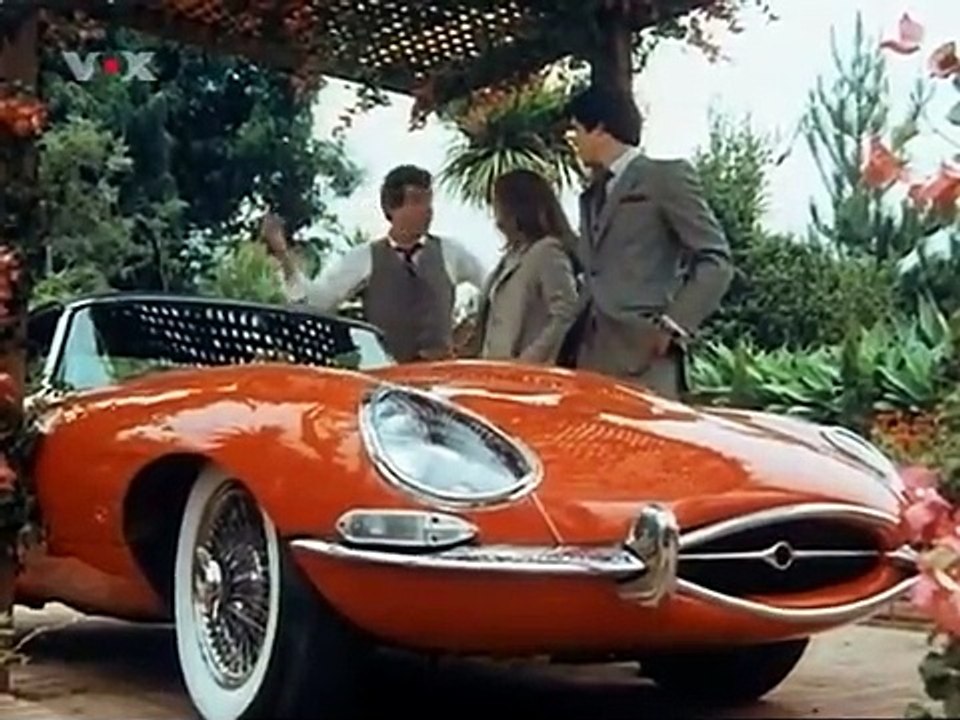 Remington Steele S01E14-Scheiden tut weh