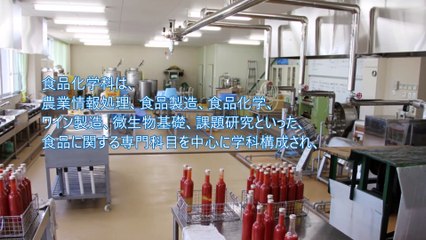 「幅広いビジネス実務教育と資格取得によって就職氷河期を強く生き抜く人材を育成」― 石和高校と山梨園芸高校を統合して900人規模のマンモス校に再編   山梨県教育委員会 笛吹高等学校