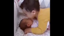 Cuteness Overload: Siblings Share Sweet Moments