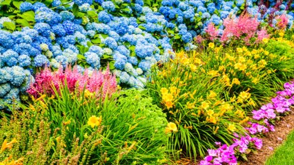 This Colorful Border Garden Plan Has Something Blooming for Three Seasons