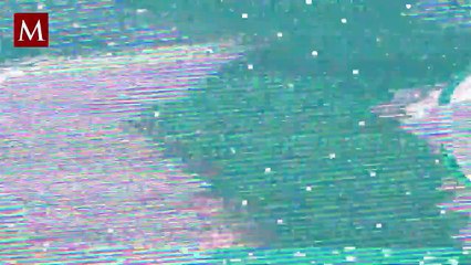 Despega primer cohete impreso en 3D; falla tras alcanzar la órbita