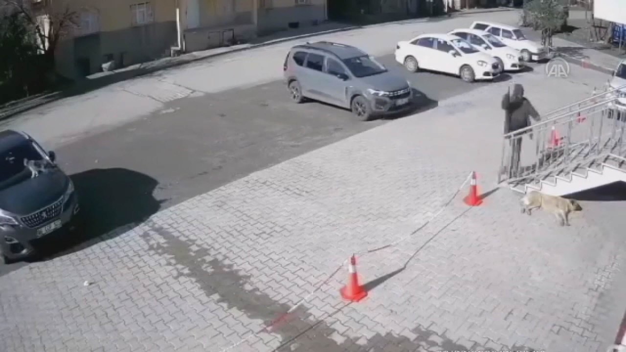 Köpeğe şiddet güvenlik kamerasına yansıdı