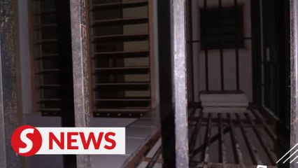 Suspect held in cat carcasses case