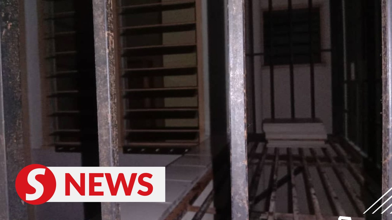 Suspect held in cat carcasses case
