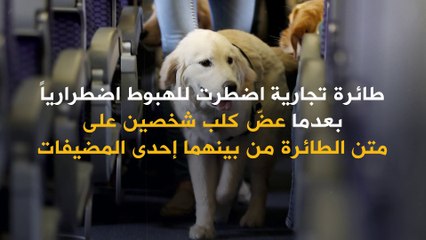 أغرب الأسباب التي أدت إلى هبوط طائرات اضطراريًا