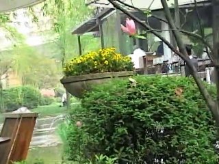 Sobreviviente del holocausto Ruth Herzberg Sirkes Testimonio Shanghai 1939 1947 - INGLES