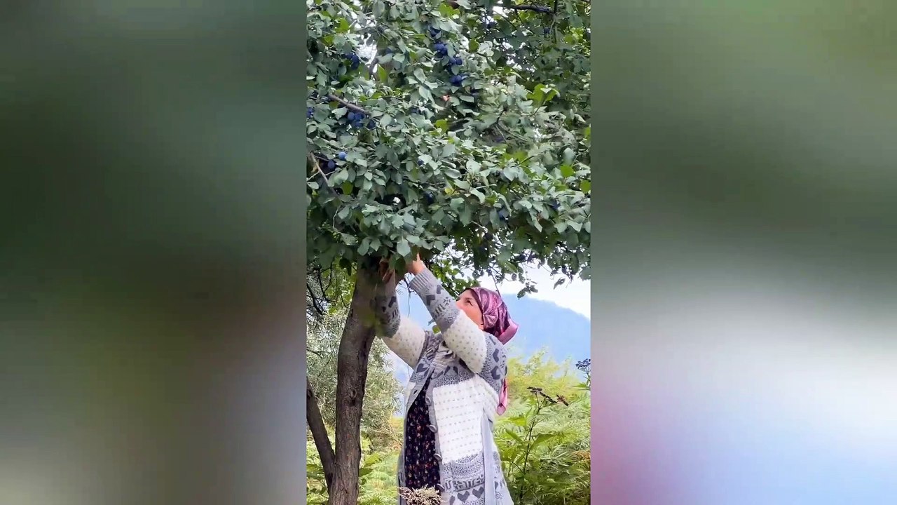 Healthy and Tasty Sweet Drink! Amazing Drink from the Hermits of the Mountains. Relaxing Cooking.