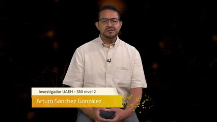Sinapsis T1 Ep129 | Usos potanciales de helechos y licopodios