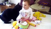 Funny cats and babies playing together - Cute cat & baby compilation (2)