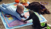 Cats are best babysitters and nannies - Cute cat & baby compilation (2)