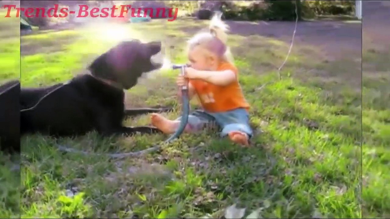 Cute Babies Moments (Funny Baby Videos Compilation)