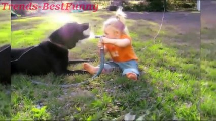 Cute Babies Moments (Funny Baby Videos Compilation)