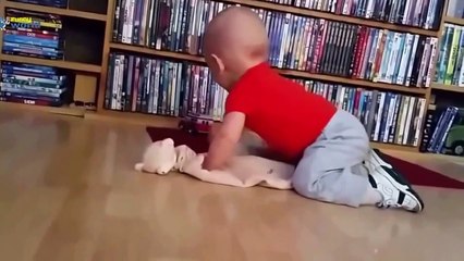 Funny Videos For Kids 2015 Try Not To Laugh  So Funny Baby   Top 10 Funny Baby Videos 2015 1080p