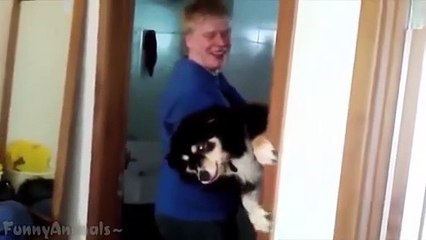 Dogs Just Dont Want to Bath Compilation