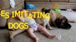 Funny babies imitating dogs - Cute dog & baby compilation