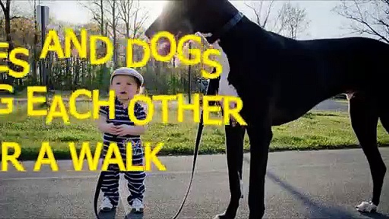 Babies and dogs take each other for a walk - Funny and cute compilation