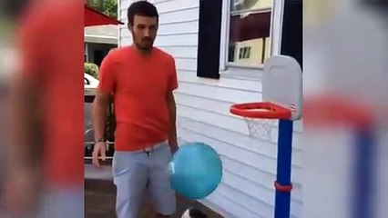 Animals Playing Sports Compilation