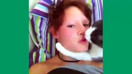 Best Cat Vines The Best Cat Vine Compilation 25 MINUTES Vine Comp 2015