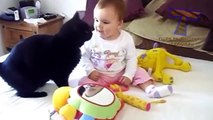 Bản sao của Funny cats and babies playing together   Cute cat & baby compilation