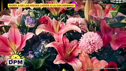 ¿Adiós a la Chilndrina? María Antonieta de las Nieves lo aclara