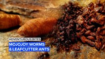 Adventurous Bites: Sate your appetite with worms and ants from the Amazon