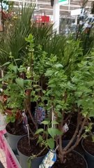 CARREFOUR ❤️‍ PROMOTION 2023 #carrefourfrance #carrefour #bonplan #arrivagescarrefour #promotion  (44)