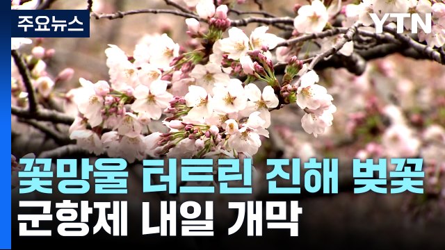 꽃망울 터트린 진해 벚꽃...'4년 만의 군항제' 내일 개막 / YTN