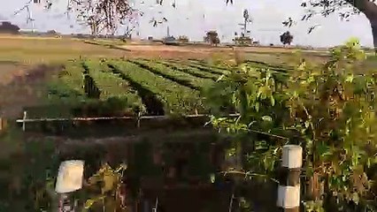 A calling by Village Nature Incredible India