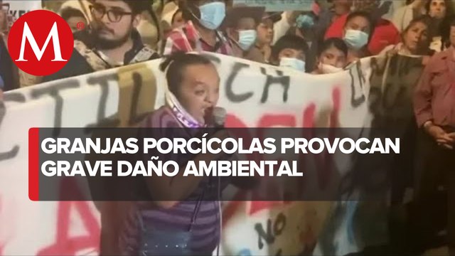 Se manifiestan en contra de una granja porcícola que provoca la contaminación del agua; Yucatán