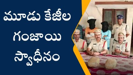 గుంటూరు: పుష్ప స్టైల్ లో గంజాయి స్మగ్లింగ్... సింగం లాంటి పోలీసుల ఎంట్రీతో