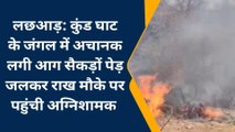जमुई: कुंडघाट के जंगल में अचानक लगी भीषण आग, सैकड़ों पेड़ जले